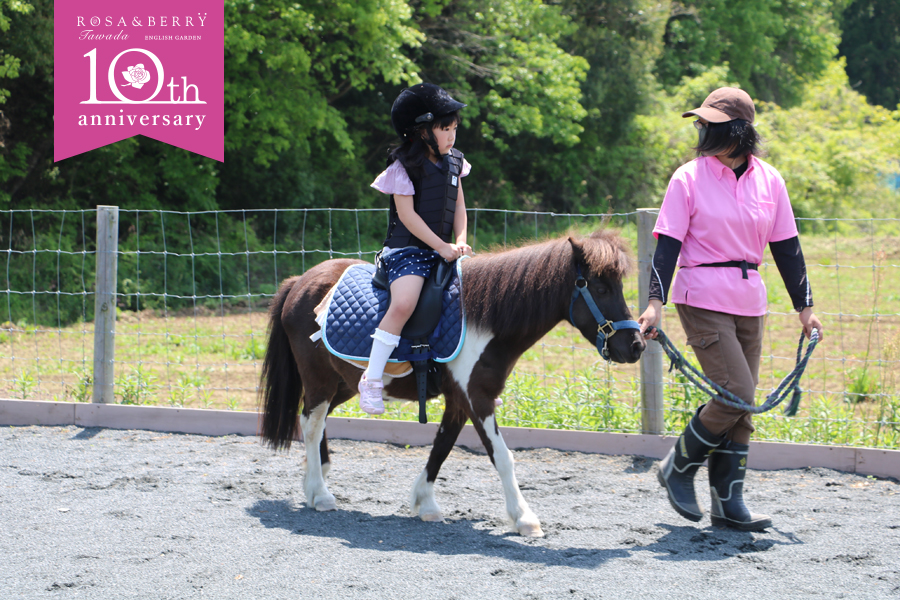 10th記念! ポニーの引き馬体験はじまります。【当日受付のみ】