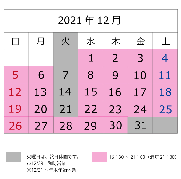 2022年12月イルミ