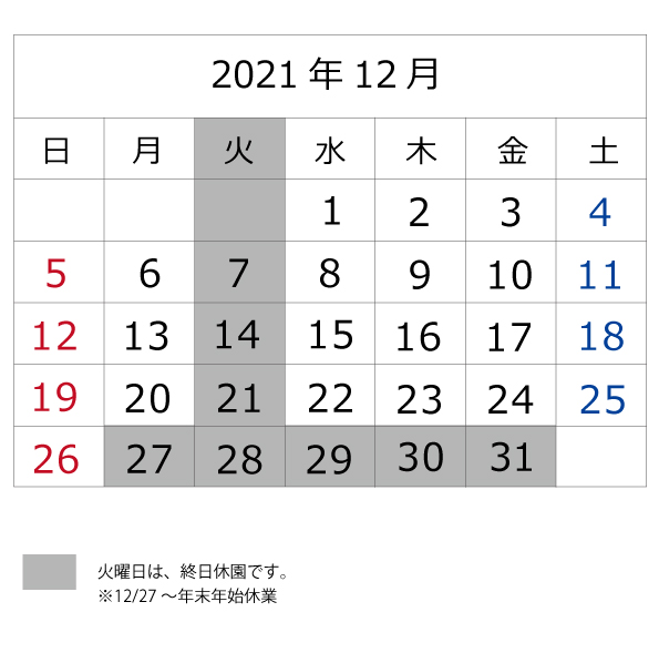 2021年12月