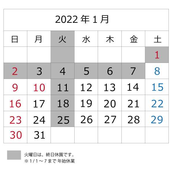 2022年1月