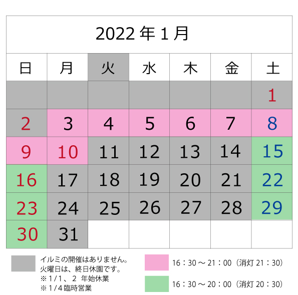 2022年1月イルミ