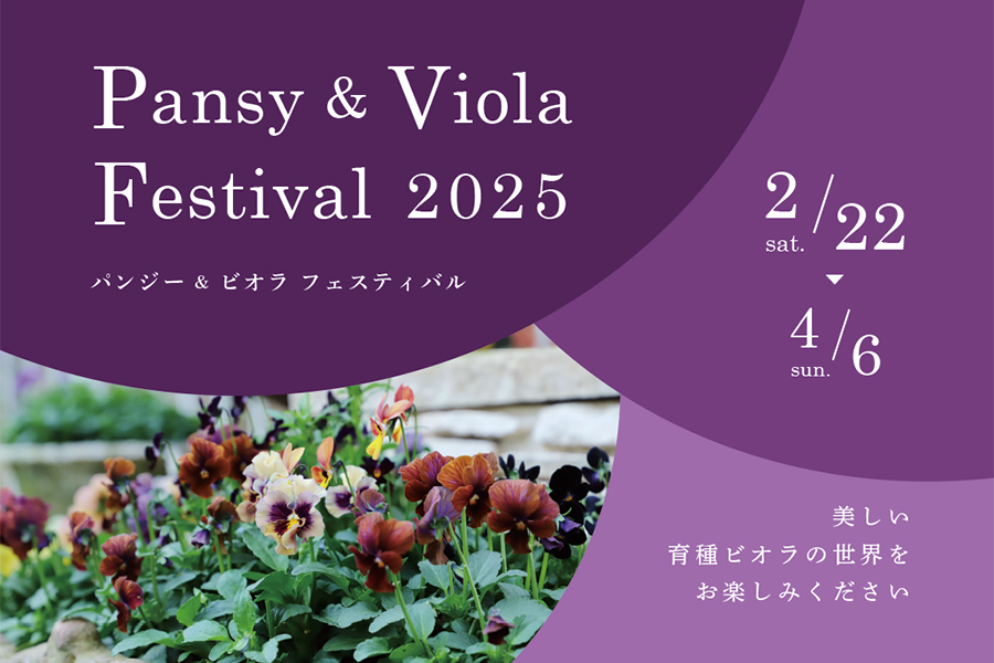 今年も開催！『パンジー＆ビオラ フェスティバル 2025』