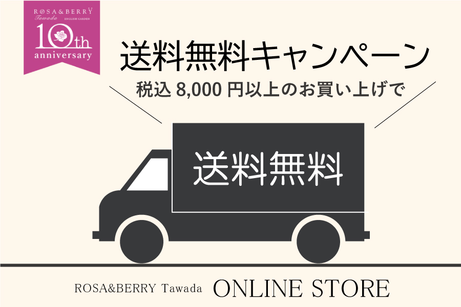 10周年記念！オンラインストア　送料無料キャンペーン開催