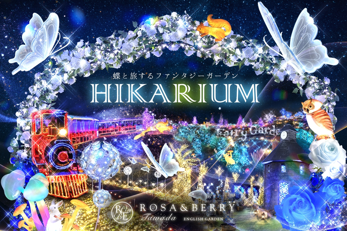「HIKARIUM2025」関西最大級のイルミネーション開催決定‼