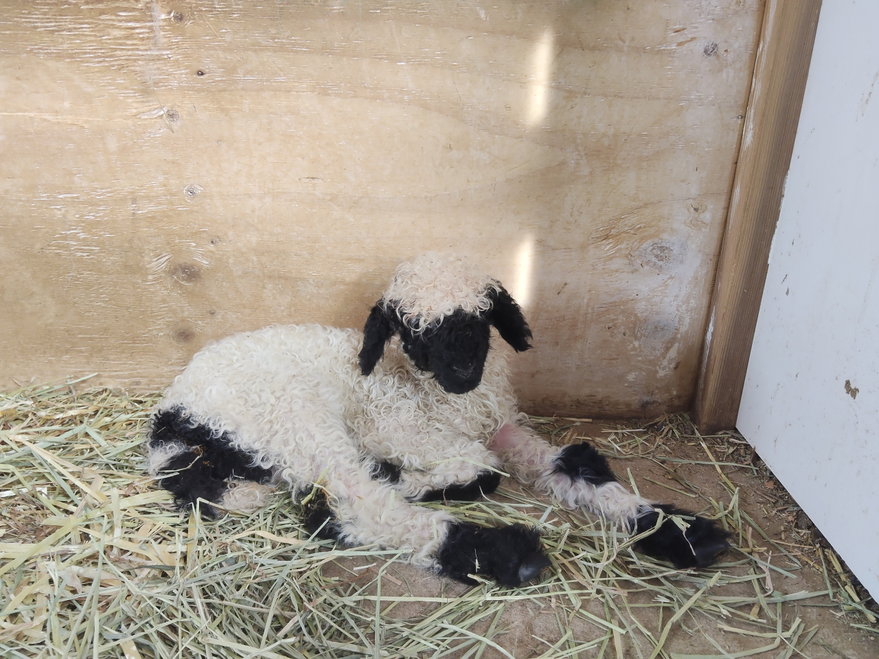 2日目_IMG20260324162925