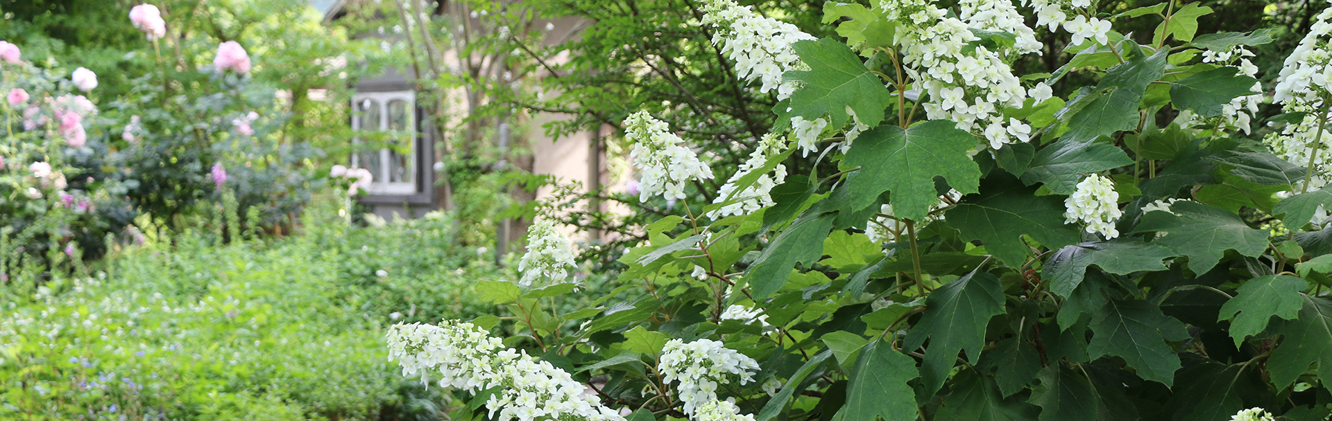 ローザンベリー多和田